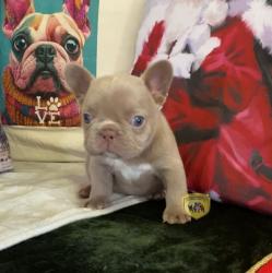 Click sobre la imagen para ampliarla