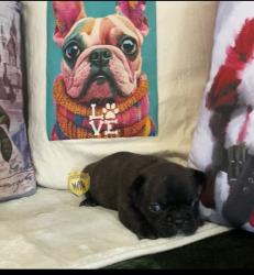 Click sobre la imagen para ampliarla