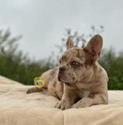 Click sobre la imagen para ampliarla