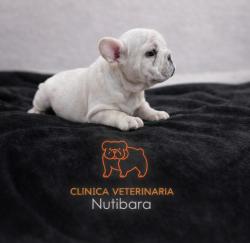 Click sobre la imagen para ampliarla