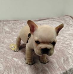 Click sobre la imagen para ampliarla