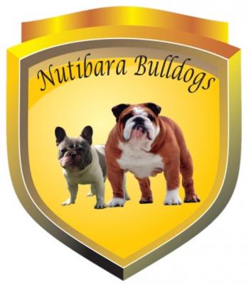 Bulldog